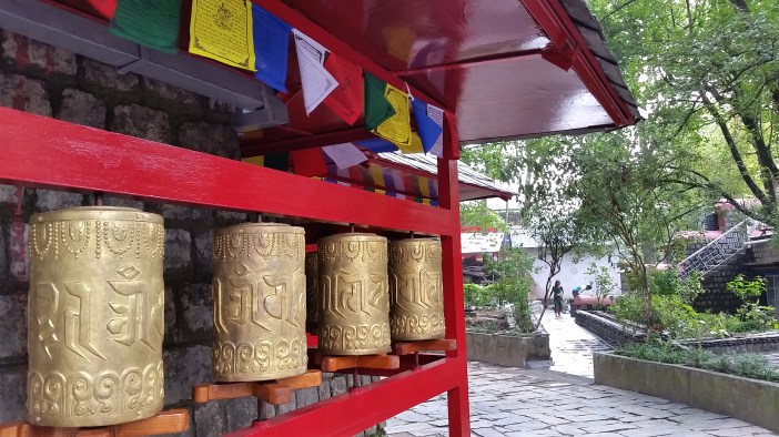 2016-10-04 12.09.42.jpg