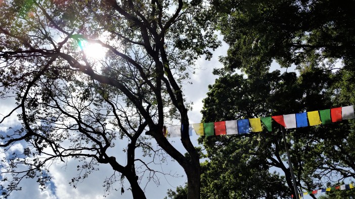 Swayambhunath Temple 4.jpg